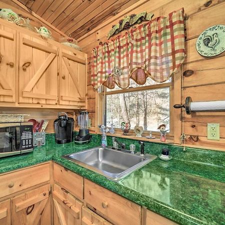 Franklin Cabin With Porch Near Hiking And Waterfalls! Kültér fotó